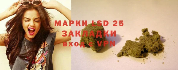 прущие грибы Баксан