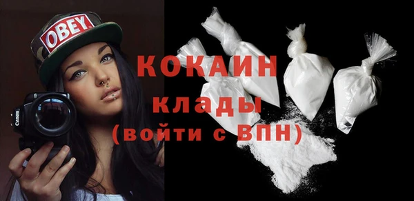 прущие грибы Баксан