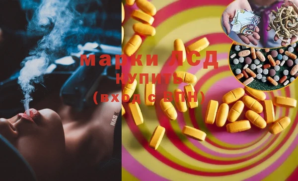 прущие грибы Баксан