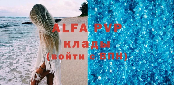 прущие грибы Баксан
