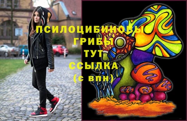 прущие грибы Баксан
