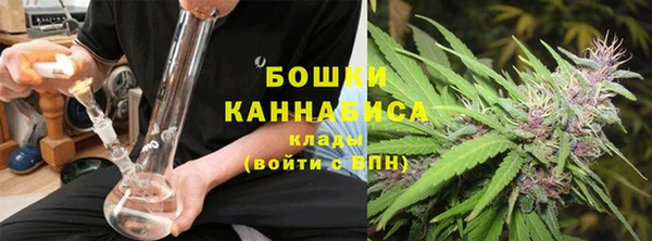 прущие грибы Баксан
