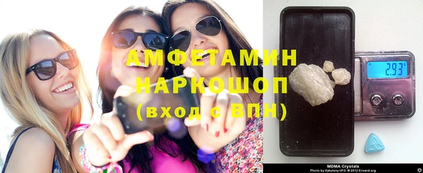 прущие грибы Баксан