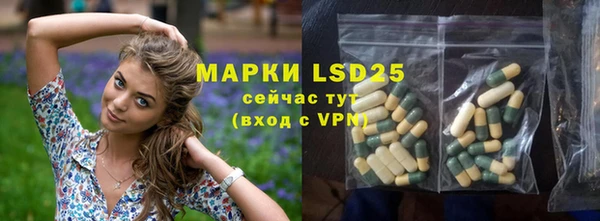 прущие грибы Баксан