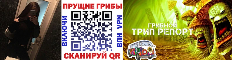 где можно купить   Бугуруслан  Галлюциногенные грибы GOLDEN TEACHER 